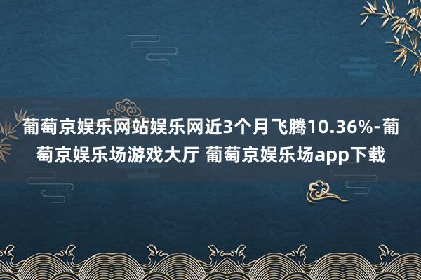 葡萄京娱乐网站娱乐网近3个月飞腾10.36%-葡萄京娱乐场游戏大厅 葡萄京娱乐场app下载