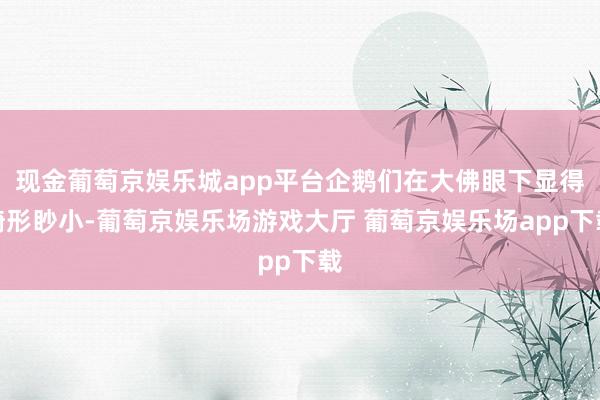 现金葡萄京娱乐城app平台企鹅们在大佛眼下显得畸形眇小-葡萄京娱乐场游戏大厅 葡萄京娱乐场app下载